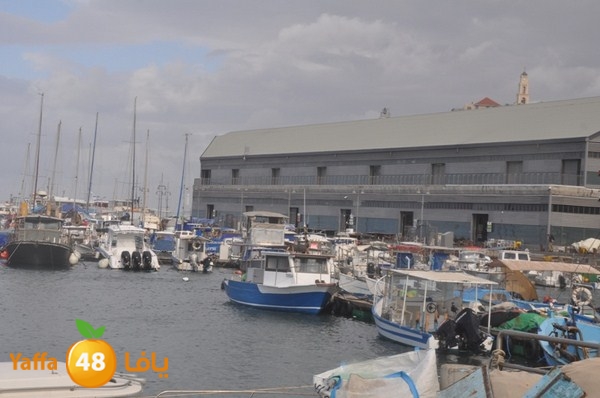 yaffa rain 1211 (13).JPG